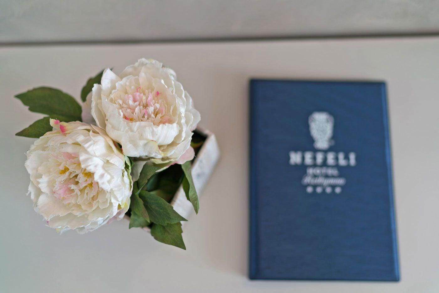 Nefeli Hotel Platanes  Luaran gambar